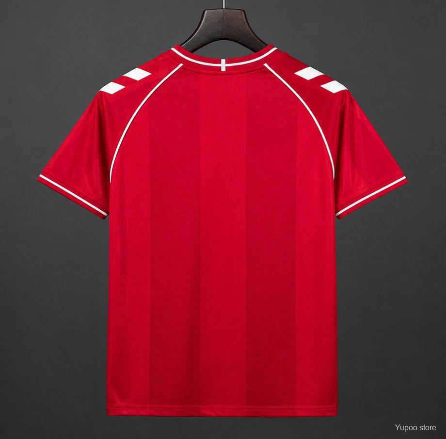 2026 Denmark Home Fan Jersey