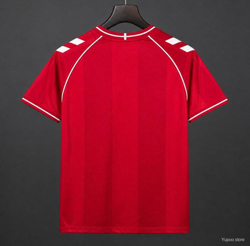 2026 Denmark Home Fan Jersey